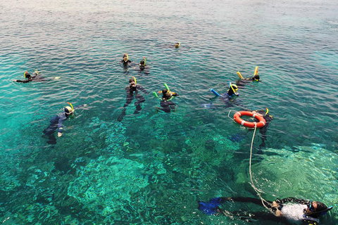 Seastar Luxury Outer Great Barrier Reef Island And Reef Tour From Cairns - Restaurant Darwin 2