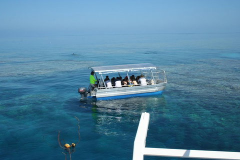 Seastar Luxury Outer Great Barrier Reef Island And Reef Tour From Cairns - Restaurant Darwin 5