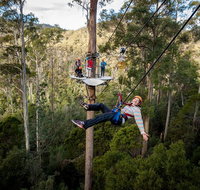 Hollybank Wilderness Adventure - Zipline Tours - Restaurant Darwin