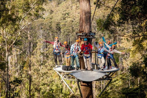 Hollybank Wilderness Adventure - Zipline Tours - Restaurant Darwin 1