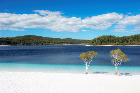 All-Inclusive Fraser Island Day Tour - Restaurant Darwin 3
