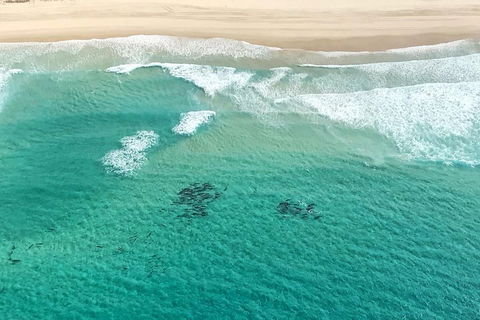 Coastal Helicopter Shared Flight - 20 Minutes - Restaurant Darwin 4