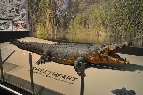 Explore Darwin City Sights Including Key Attractions - Restaurant Darwin 2