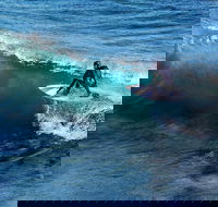 Great Ocean Road Highlights Tour - 2 Days 1 Night - Restaurant Darwin