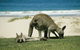 Great Ocean Road Highlights Tour - 2 Days, 1 Night - thumb 2
