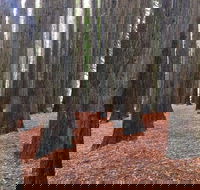 Great Ocean Road  Phillip Island - 2 Days 1 Night - Restaurant Darwin