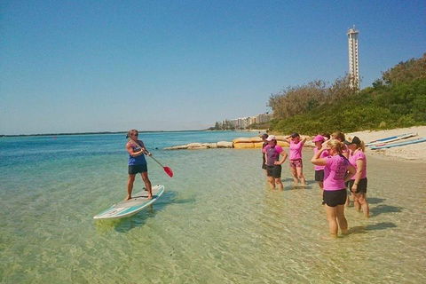 Golden Beach 1-Hour Stand-Up Paddleboard Hire On The Sunshine Coast - Restaurant Darwin 1