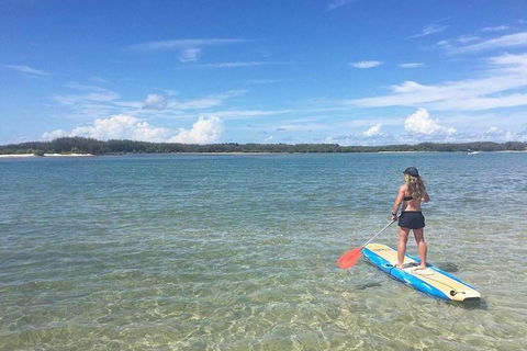 Golden Beach 1-Hour Stand-Up Paddleboard Hire On The Sunshine Coast - Restaurant Darwin 4