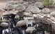 Bendigo, Echuca & The Mighty Murray - thumb 1