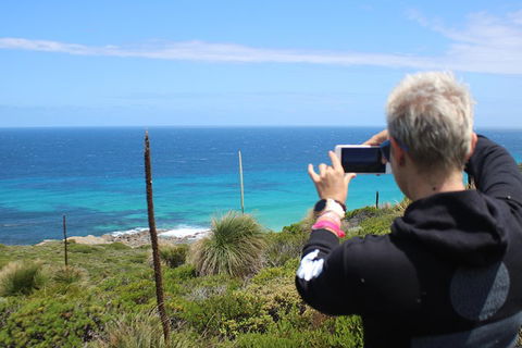 Margaret River Coastal And Wildlife Eco Trip From Busselton Or Dunsborough - Restaurant Darwin 3